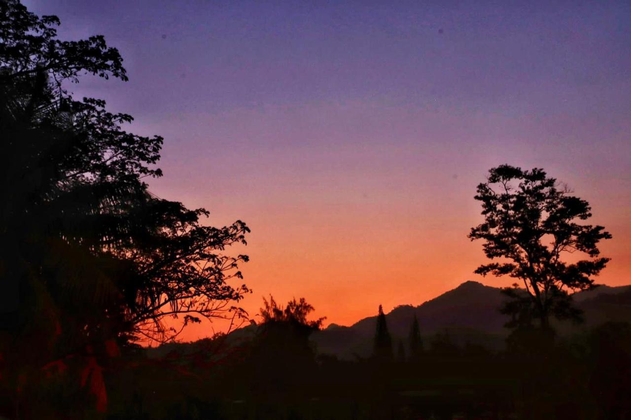 Sunset Hut Hostel โอโมอา ภายนอก รูปภาพ