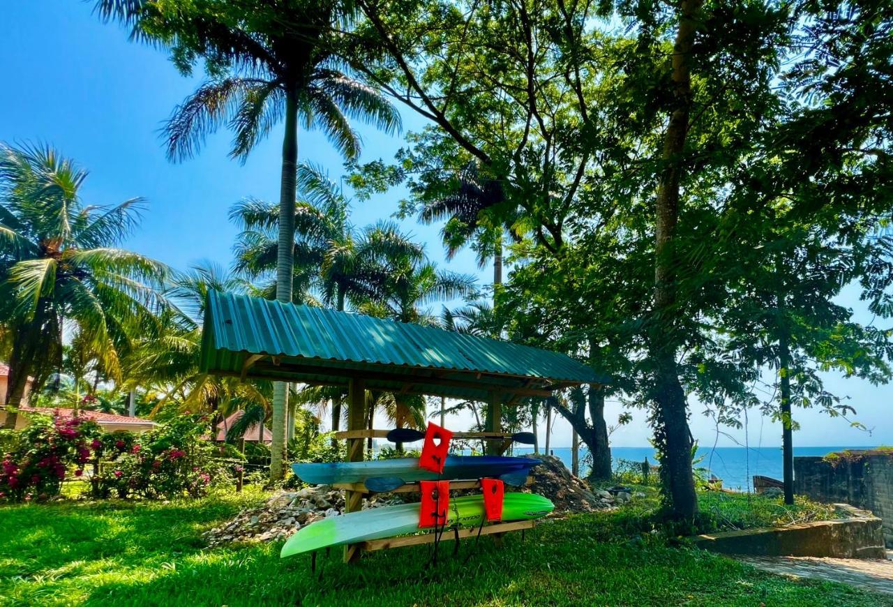 Sunset Hut Hostel โอโมอา ภายนอก รูปภาพ